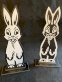 Hippety Hop Rabbits - Practical Magic